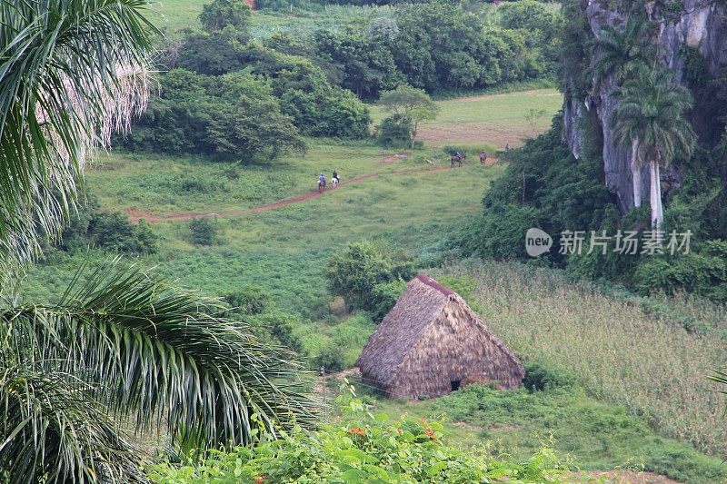 古巴- Viñales山谷-风景